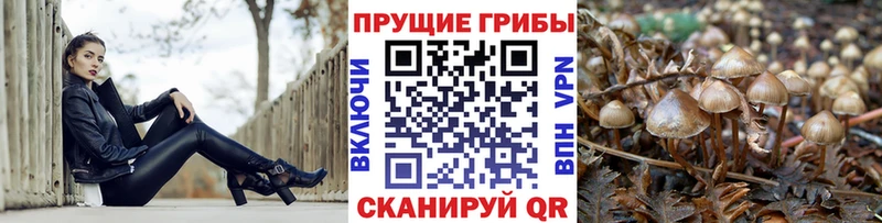 Галлюциногенные грибы GOLDEN TEACHER  Купить  Называевск 