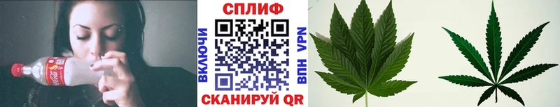 Бошки марихуана марихуана  Купить где  Называевск 